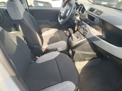 Fiat Panda 1.0 firefly hybrid s&s 70cv 5p.ti (9)