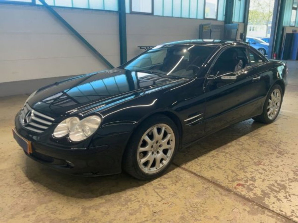 Mercedes-Benz SL 500 cat (2)
