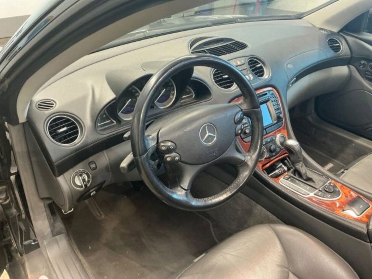 Mercedes-Benz SL 500 cat (4)