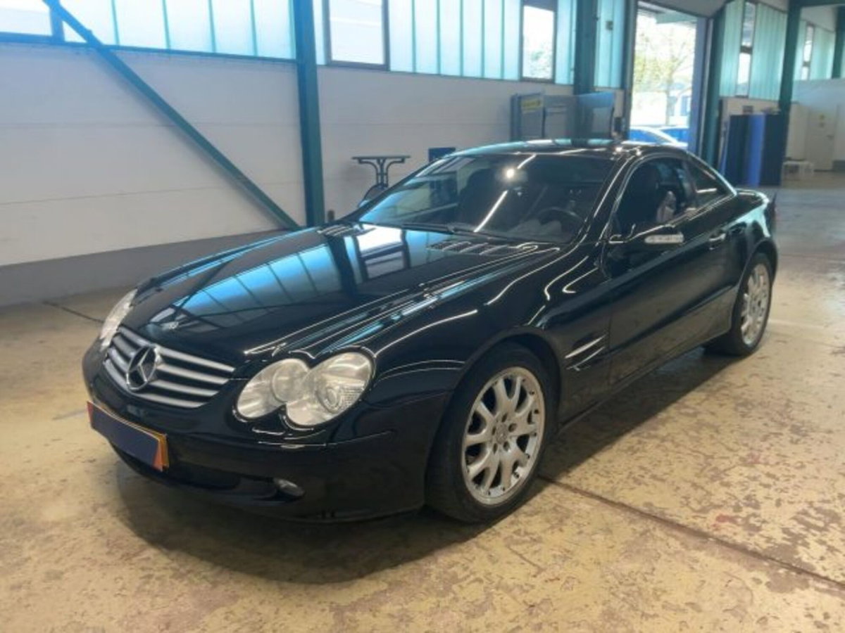 Mercedes-Benz SL 500 cat (6)