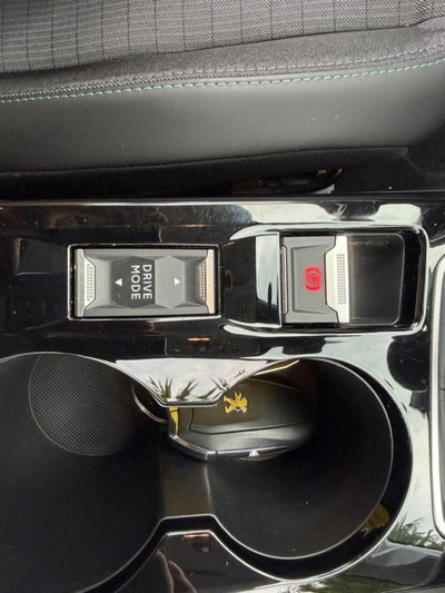 Peugeot 208 BlueHDi 100 Stop&Start 5 porte Allure (16)