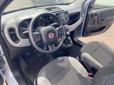 Fiat Panda 1.0 FireFly S&S Hybrid City Cross (10)
