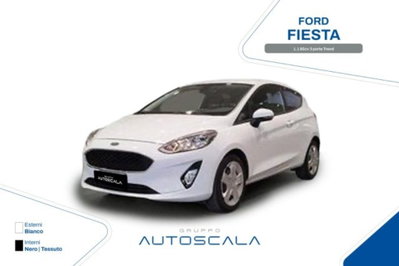 Ford Fiesta 1.1 85 CV 3 porte  Trend usata