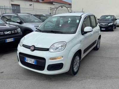 Fiat Panda 1.2 Easy usata