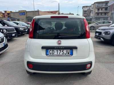 Fiat Panda 1.2 Easy (5)