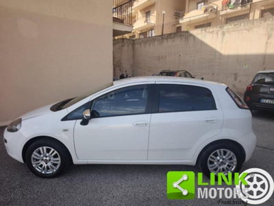 Fiat Punto 1.3 MJT II 75 CV 5 porte Street (11)