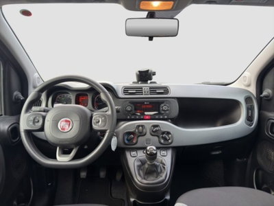 Fiat Panda 1.0 FireFly S&S Hybrid City Cross (12)