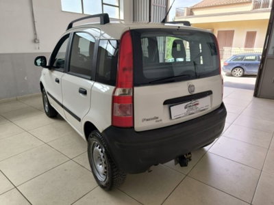 Fiat Panda 1.2 Active GPL (4)