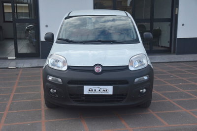 Fiat Panda 1.3 MJT 4x4 Pop Van 2 posti (2)