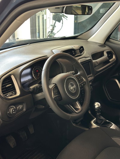 Jeep Renegade 1.6 Mjt 130 CV Limited (7)
