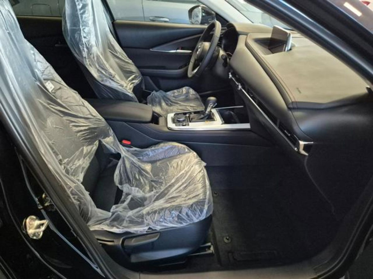 Mazda CX-30 e-Skyactiv-X M Hybrid 2WD Homura (10)