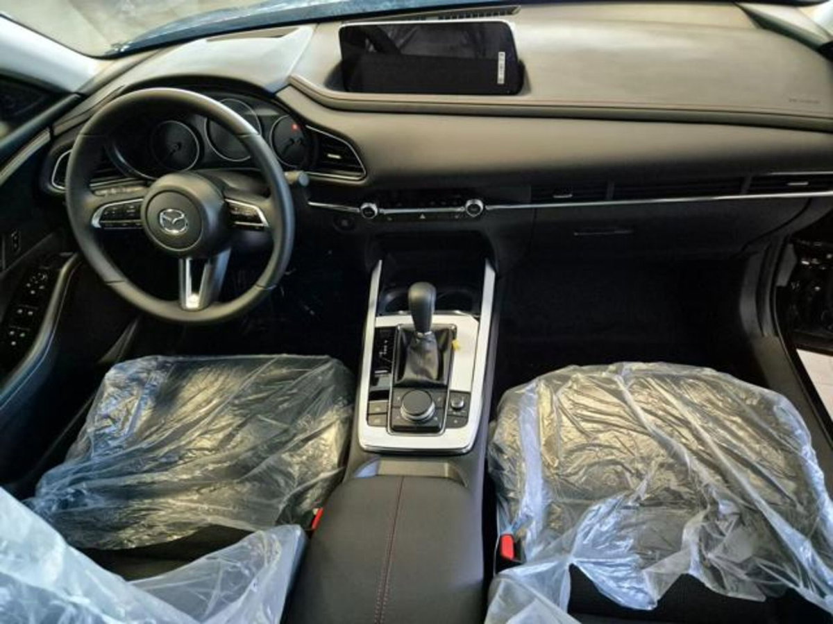 Mazda CX-30 e-Skyactiv-X M Hybrid 2WD Homura (12)