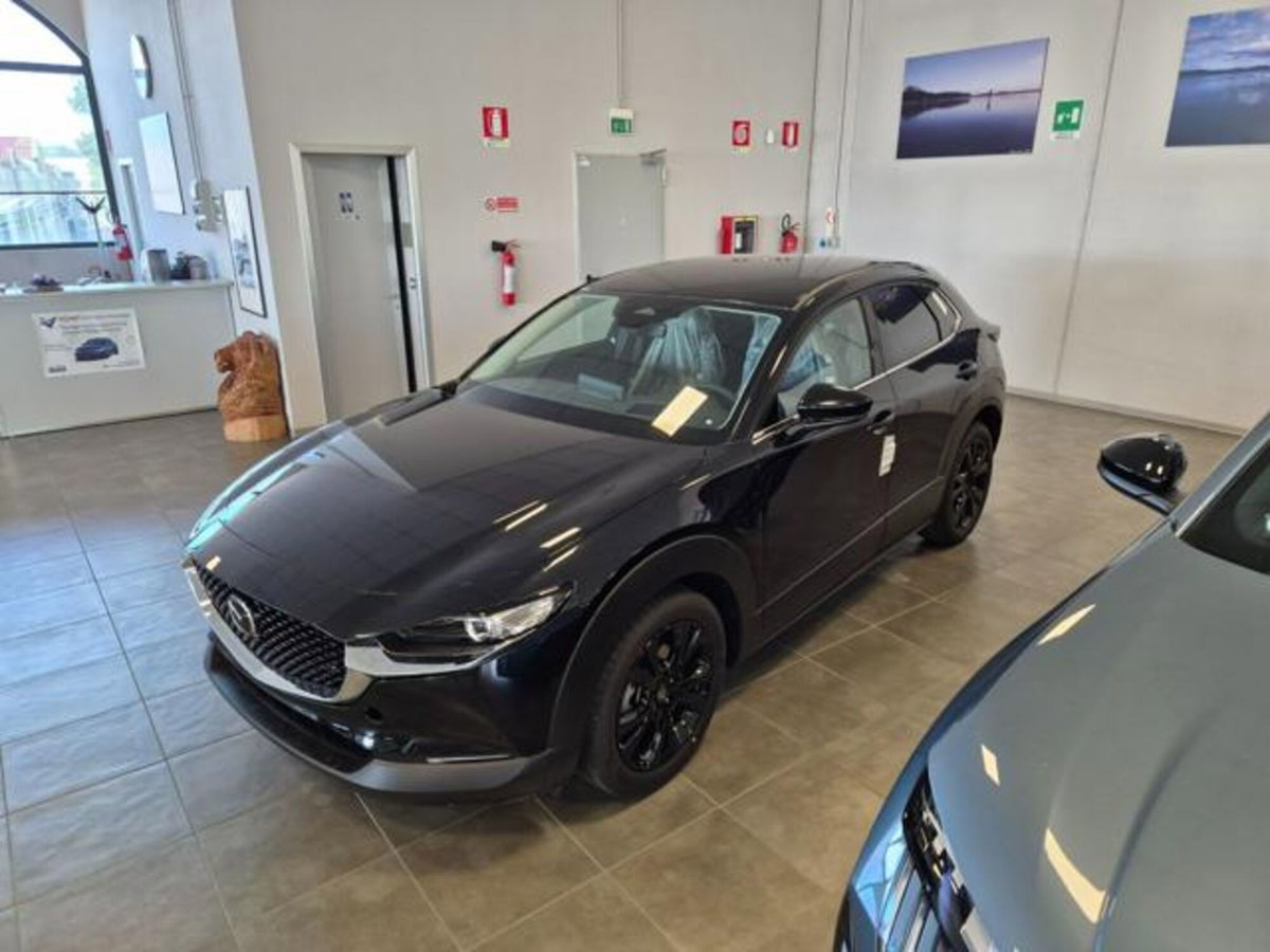 Mazda CX-30 e-Skyactiv-X M Hybrid 2WD Homura (2)
