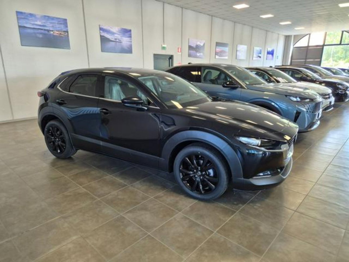 Mazda CX-30 e-Skyactiv-X M Hybrid 2WD Homura (5)