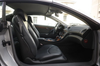 Mercedes-Benz SL 500 cat (10)