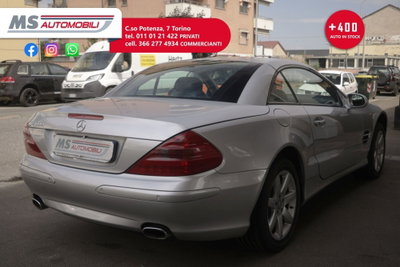 Mercedes-Benz SL 500 cat (13)