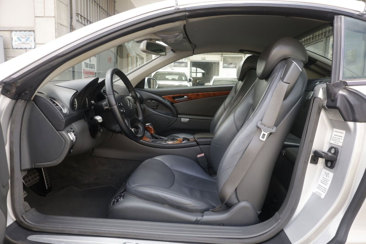 Mercedes-Benz SL 500 cat (16)