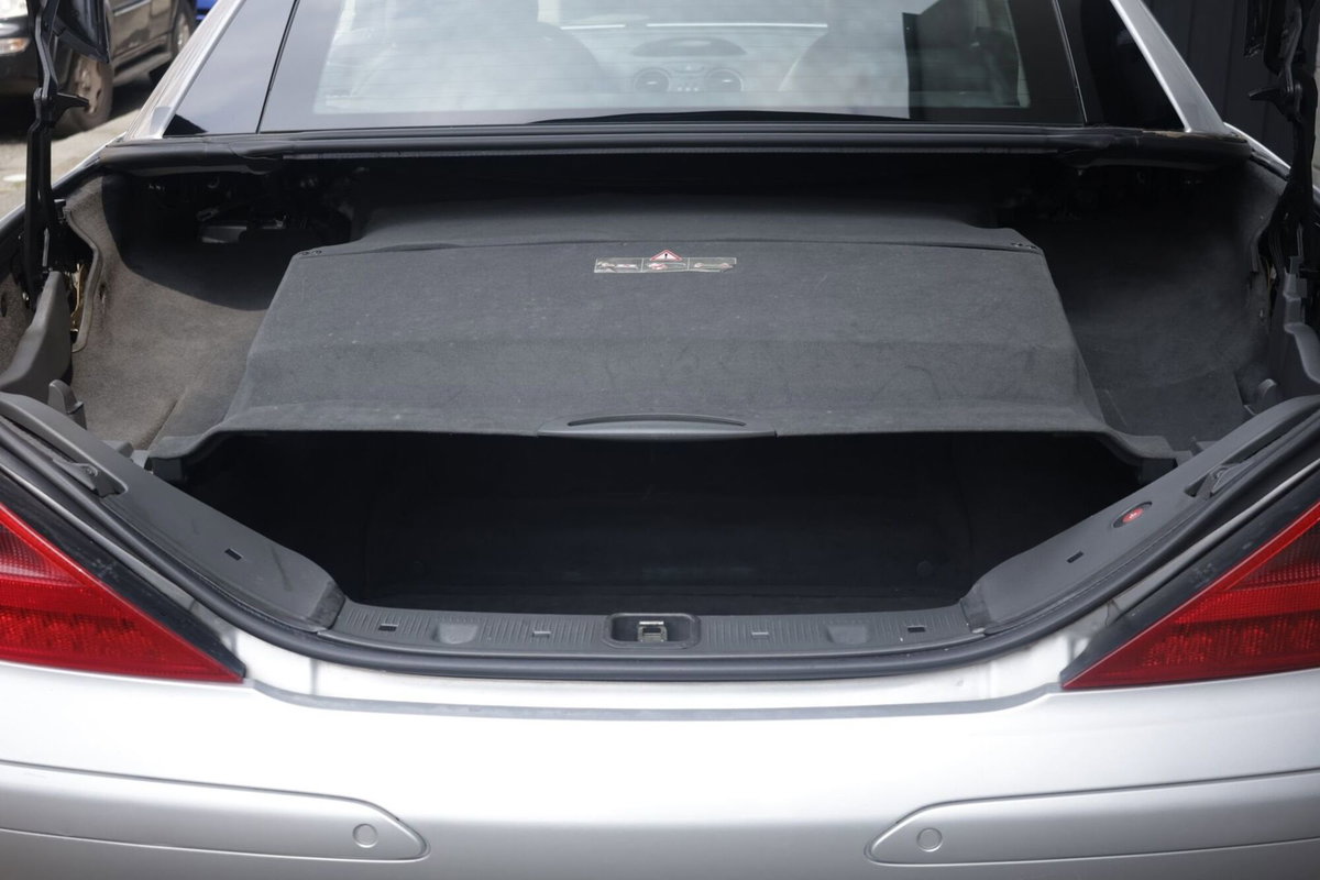 Mercedes-Benz SL 500 cat (17)