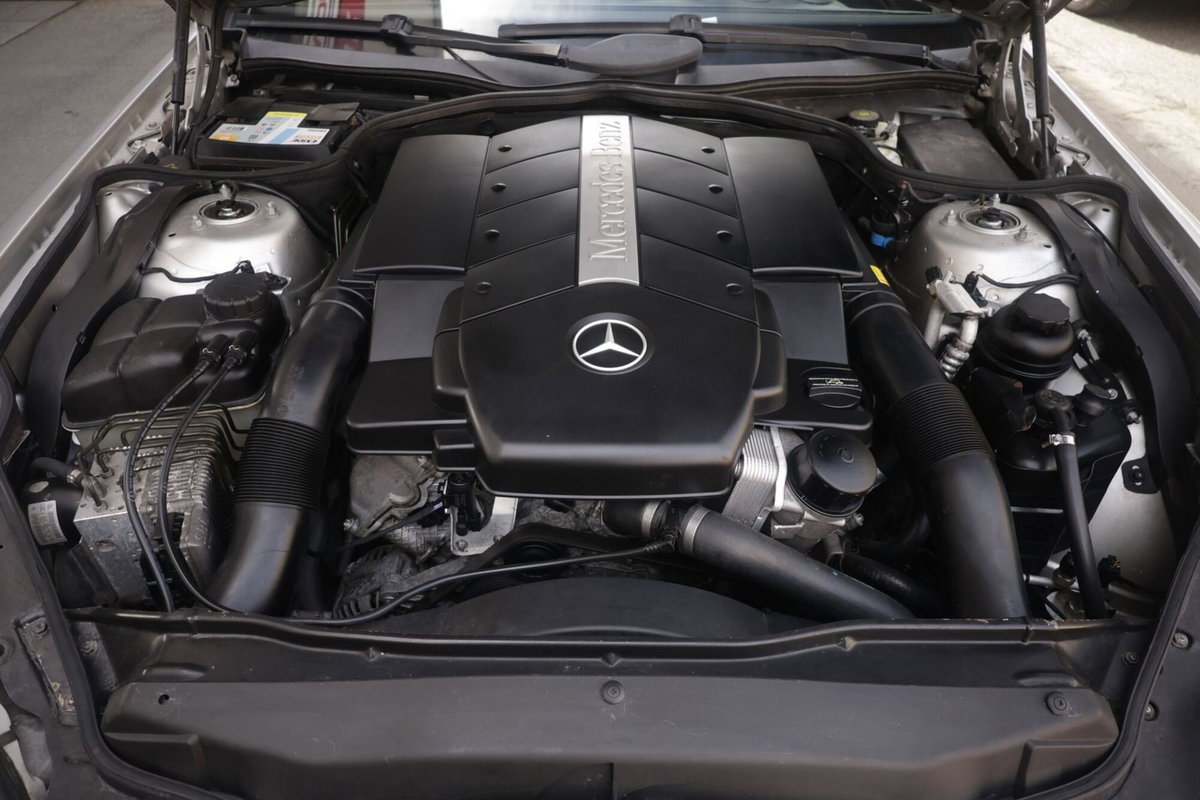 Mercedes-Benz SL 500 cat (18)
