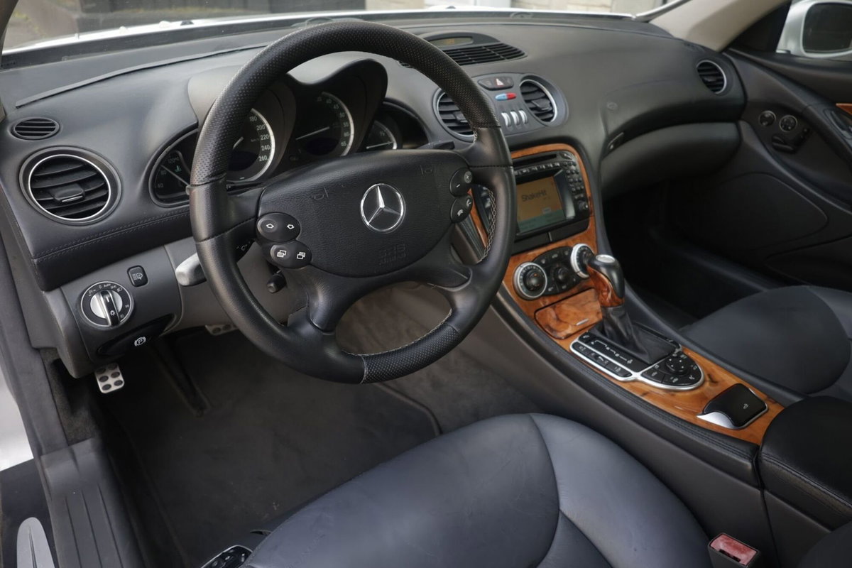Mercedes-Benz SL 500 cat (2)