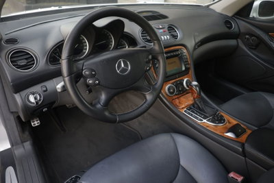 Mercedes-Benz SL 500 cat (2)