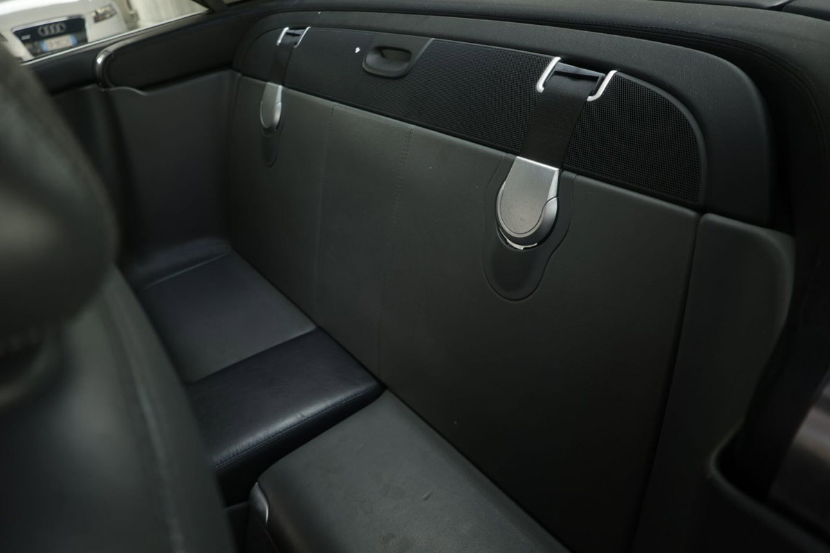 Mercedes-Benz SL 500 cat (3)