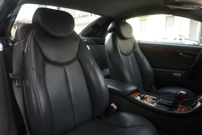 Mercedes-Benz SL 500 cat (6)