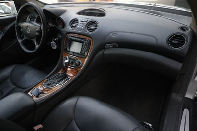 Mercedes-Benz SL 500 cat (8)