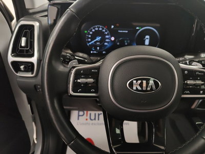 Kia Sorento 1.6 tgdi hev Evolution 4wd at6 (18)