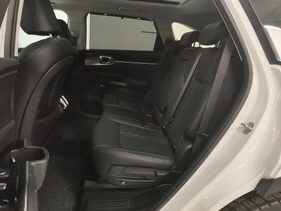 Kia Sorento 1.6 tgdi hev Evolution 4wd at6 (6)