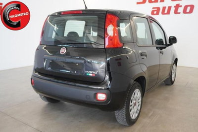 Fiat Panda 1.0 firefly hybrid s&s 70cv 5p.ti (5)