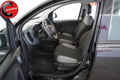 Fiat Panda 1.0 firefly hybrid s&s 70cv 5p.ti (8)