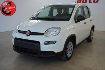 Fiat Panda 1.0 firefly hybrid s&s 70cv 5p.ti usata