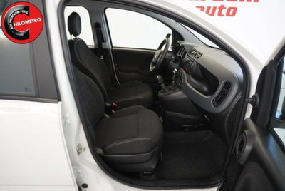 Fiat Panda 1.0 firefly hybrid s&s 70cv 5p.ti (12)