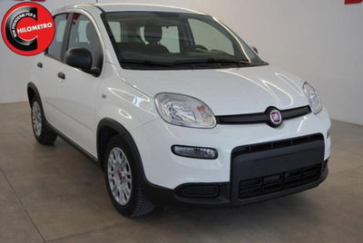 Fiat Panda 1.0 firefly hybrid s&s 70cv 5p.ti (2)