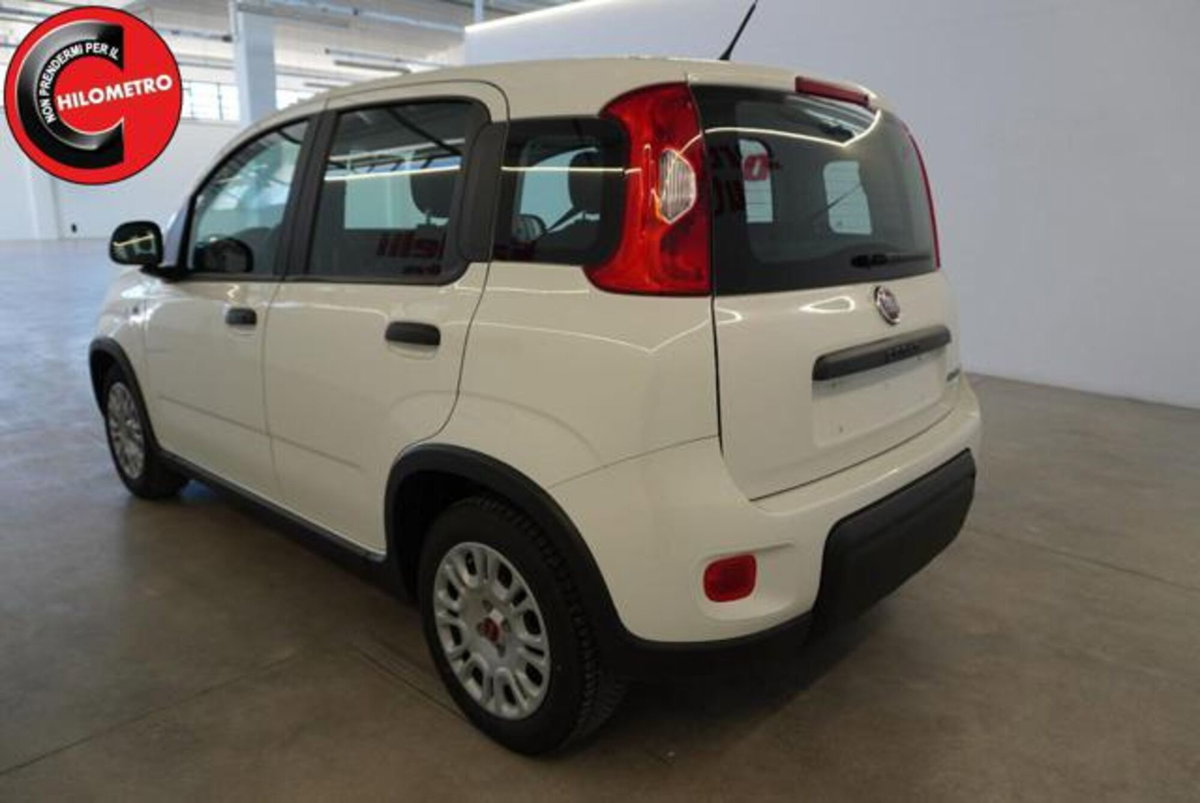 Fiat Panda 1.0 firefly hybrid s&s 70cv 5p.ti (6)