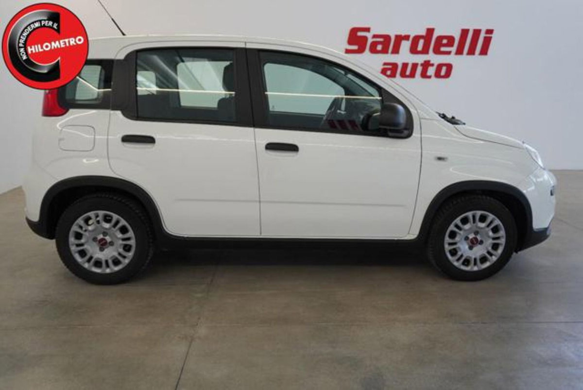 Fiat Panda 1.0 firefly hybrid s&s 70cv 5p.ti (7)
