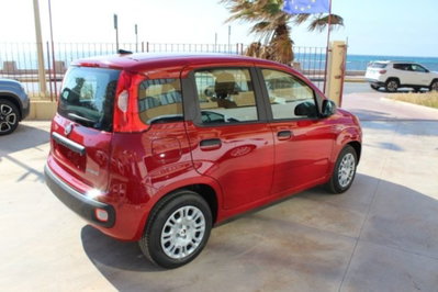 Fiat Panda 1.0 firefly hybrid s&s 70cv 5p.ti (3)