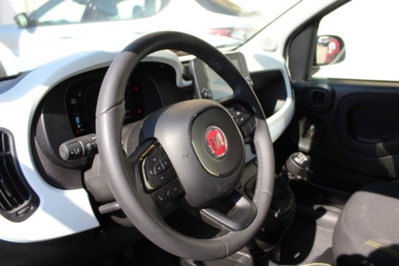 Fiat Panda Cross 1.0 firefly hybrid Cross s&s 70cv 5p.ti (11)