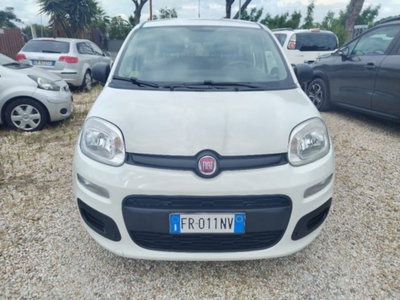 Fiat Panda 1.2 EasyPower Easy usata