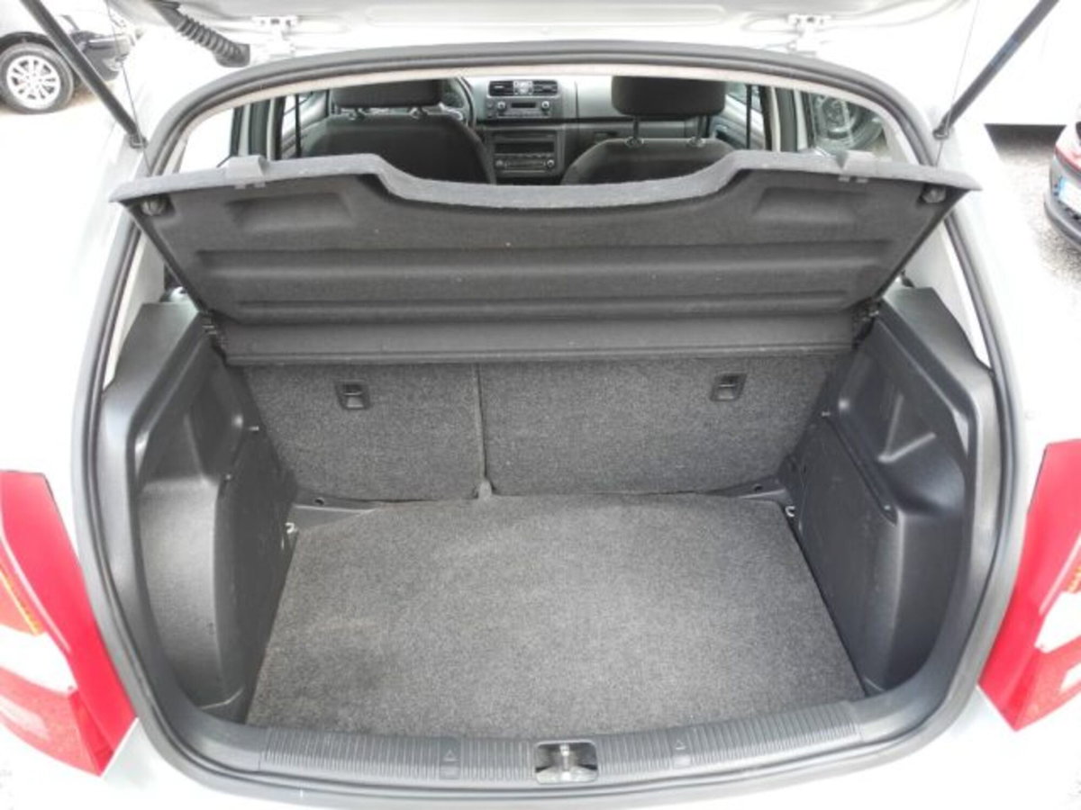 Skoda Fabia 1.6 TDI CR 75CV 5p. Ambition (13)
