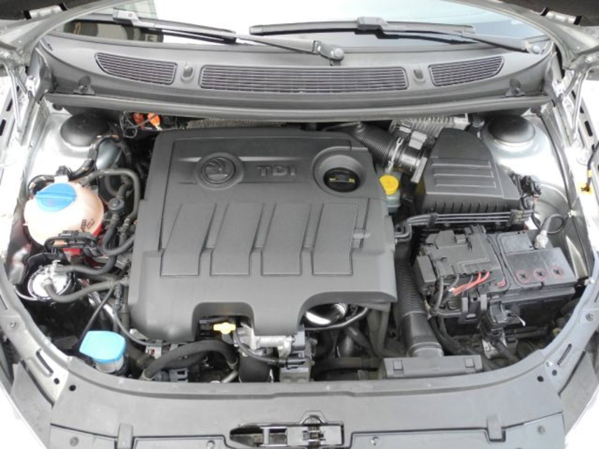 Skoda Fabia 1.6 TDI CR 75CV 5p. Ambition (14)
