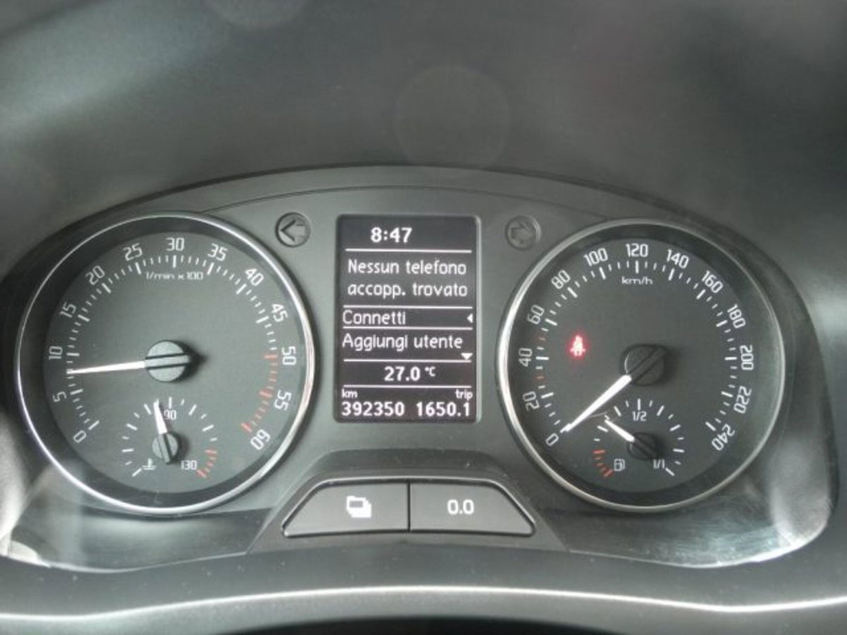 Skoda Fabia 1.6 TDI CR 75CV 5p. Ambition (18)