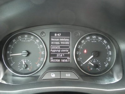 Skoda Fabia 1.6 TDI CR 75CV 5p. Ambition (18)