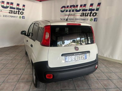 Fiat Panda 1.2 Pop Van 2 posti (3)