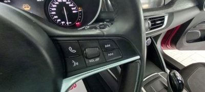 Alfa Romeo Stelvio Stelvio 2.2 Turbodiesel 160 CV AT8 RWD Super Business (13)