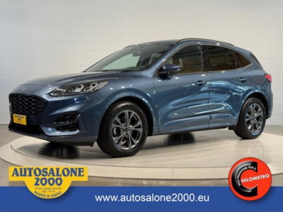 Ford Kuga 2.0 EcoBlue 120 CV aut. 2WD ST-Line X usata