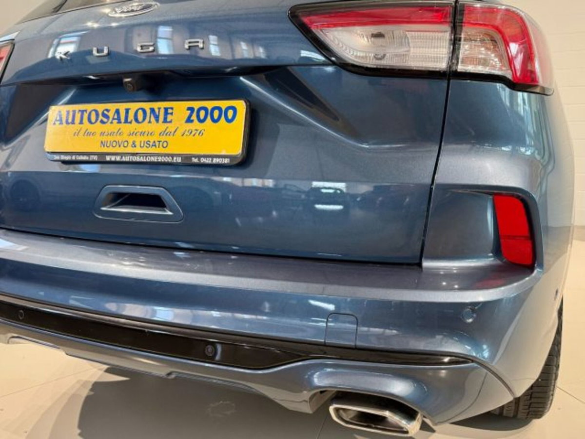 Ford Kuga 2.0 EcoBlue 120 CV aut. 2WD ST-Line X (17)