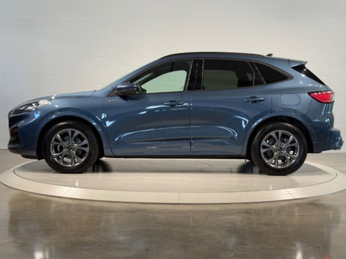 Ford Kuga 2.0 EcoBlue 120 CV aut. 2WD ST-Line X (2)