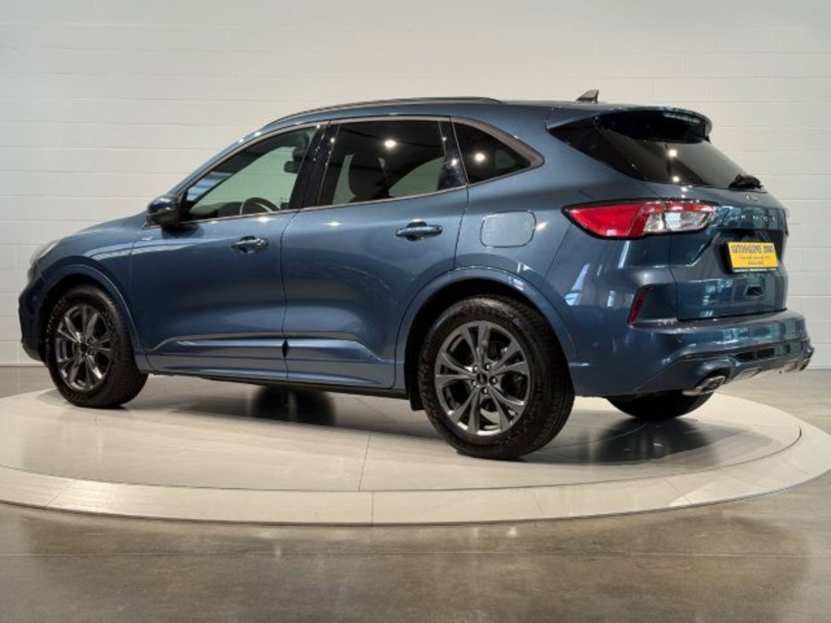 Ford Kuga 2.0 EcoBlue 120 CV aut. 2WD ST-Line X (3)